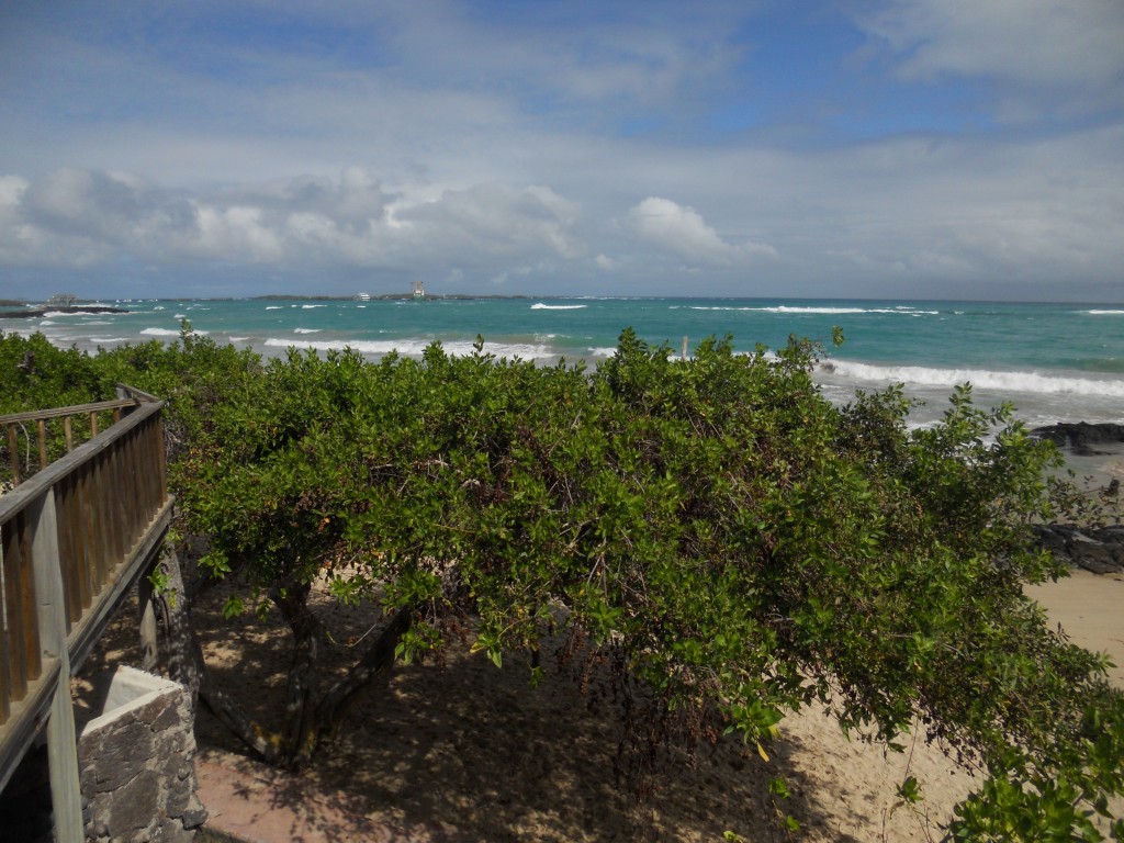 View from Caleta Iguana